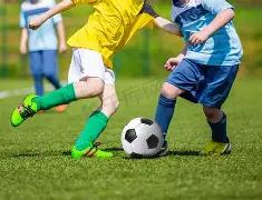 芒果体育,资讯,芒果体育平台,芒果体育平台,芒果体育官方网站,芒果体育登录入口,芒果体育app下载