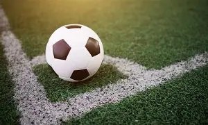 保罗石斛之,羽片璀璨,芒果体育,芒果体育平台,芒果体育官方网站,芒果体育登录入口,芒果体育app下载