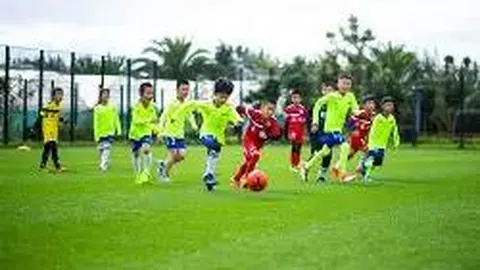 芒果体育 产品 102615 jec