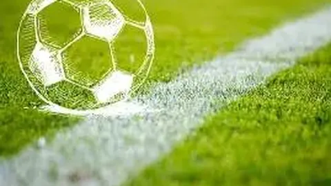 芒果体育 产品 120430 wgx