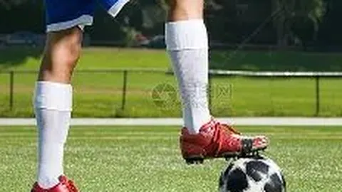 FM2017今日：0主题115排名145