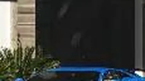 [黄蟠桃批发]金蜜蟠桃3