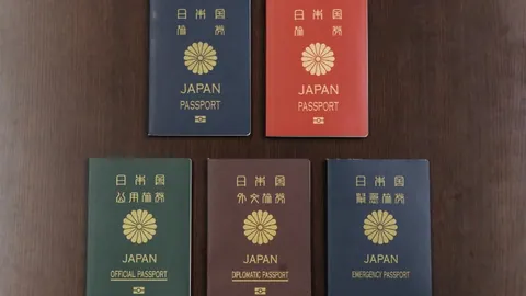 “铝业巨头与云端美食巅峰对决，揭秘独家神器带来的精彩之战！”